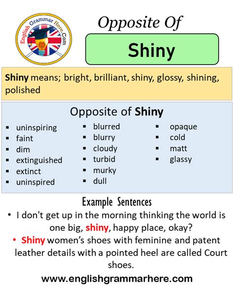 shiny antonyms